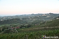VBS_5497 - C'è un mare di velluto verde! E tu che sognavi di andare lontano... Quanta meraviglia, quì!